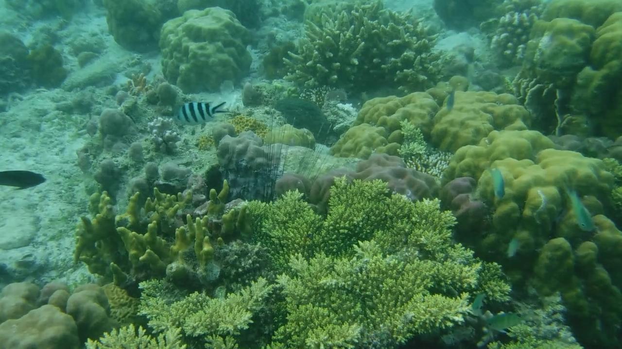 Iris Island Eco Resort Busuanga Luaran gambar